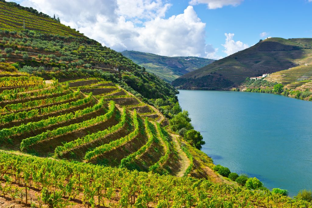 The Douro Valley is one of the oldest demarcated wine regions in the World and a Unesco World Heritage