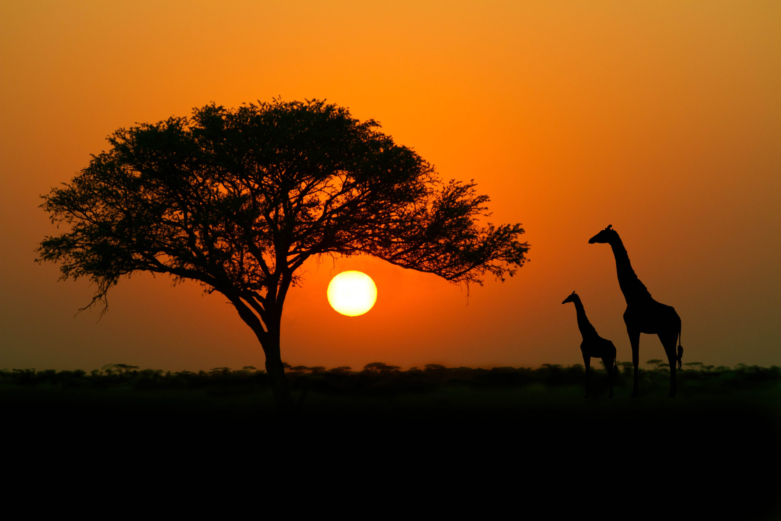 Kenya
