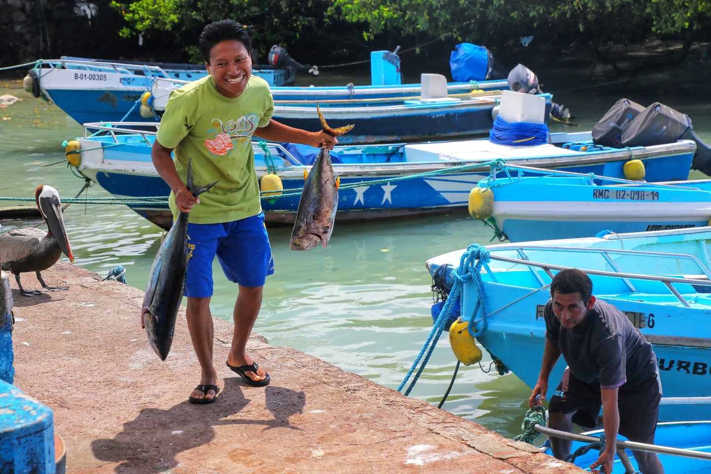 Artisanal fisher in Ecuador with fresh tuna
