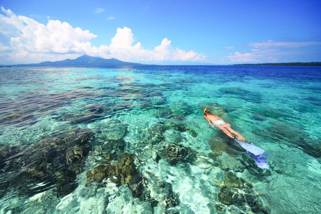 snorkeling in clear ocean in tropical coral reef