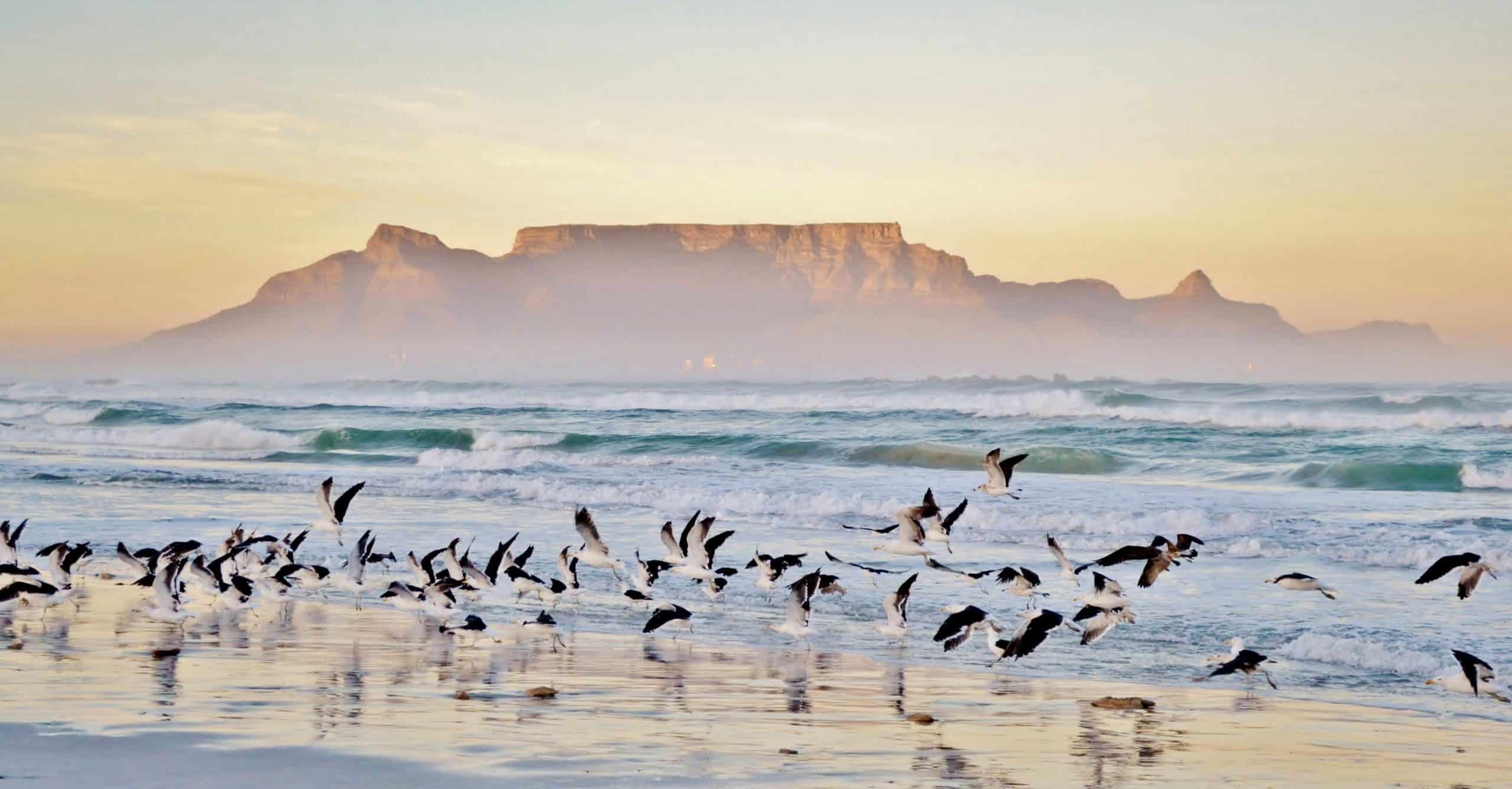 Cape Town